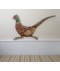 "Quick" Pheasant Wall Plaque "Quick" Pheasant Wall Plaque